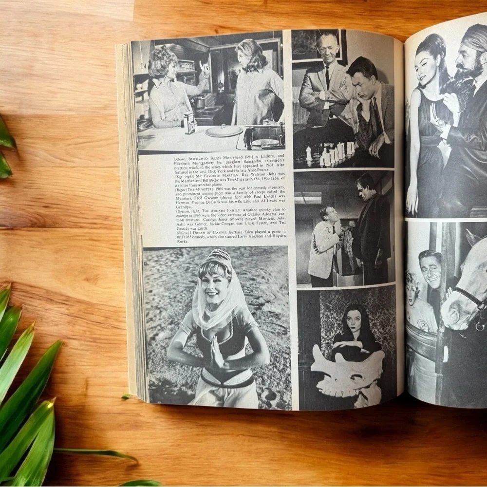 VINTAGE “How Sweet It Was” Television Pictorial Book (1971)